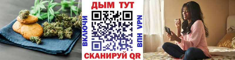 Canna-Cookies марихуана  закладки  Новоалтайск 