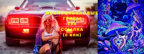 ALPHA PVP Баксан