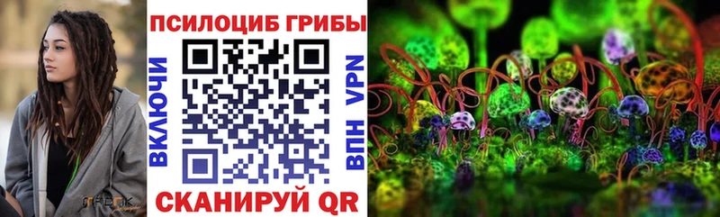 сколько стоит  Новоалтайск  Галлюциногенные грибы мухоморы 